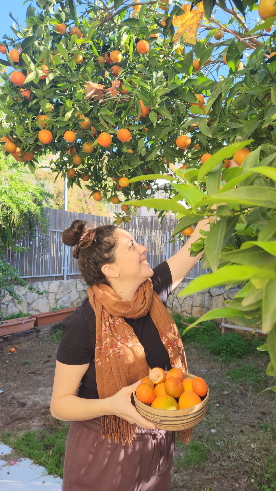 שירה קוטפת פירות בגינה